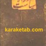 در راه سیاست