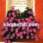 بهشت روی زمین