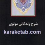 شرح زندگانی مولوی