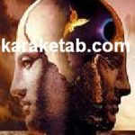 کتاب زندگی بی تناسب با فهم