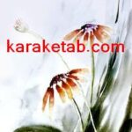 کتاب زندگی زیباست