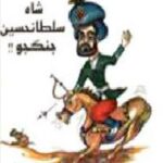 شاه سلطان حسین جنگجو