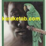 محبوب سیاه و طوطی سبز