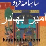 کتاب شاهنامه فردوسی امیر بهادر