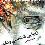 زیبایی شناسی و نقد