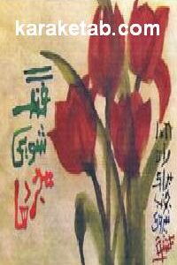 فنگ شویی مجردها