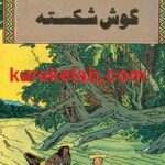 کتاب گوش شکسته