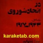 مبارزه طبقاتی در اتحاد شوروی