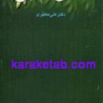 اصلاح طلبی