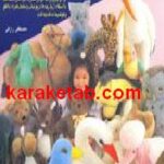 هنر عروسک سازی