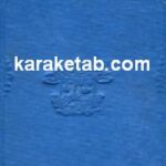 تشریح عملی شکم