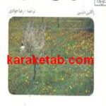 طراحی عکس