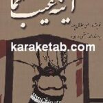 آیینه عیب نما