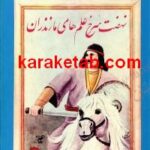 کتاب ق‍ی‍ام‌ م‍ازی‍ار و ب‍اب‍ک‌ خ‍رم‌دی‍ن‌