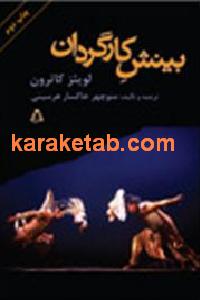 بینش كارگردان