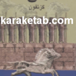 کتاب لشکر کشی کوروش