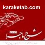 شرح ماجرا