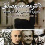 دکتر محمد مصدق، آسیب شناسی یک شکست
