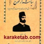 سیاست مدار مورخ