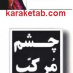 چشم مرکب