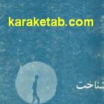 بررسی مسئله شناخت