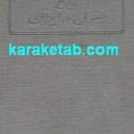 کتاب تاریخ مغول در ایران