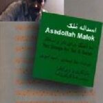 اسدالله ملک ده آهنگ برای تار