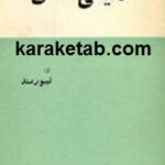 دنیائی ممکن