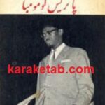 میهن من کنگو