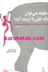 چگونه می توان یک فیل را تربیت کرد