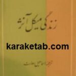 زندگی میکل آنژ