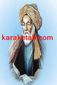 کتاب نامه ها به عین القضات