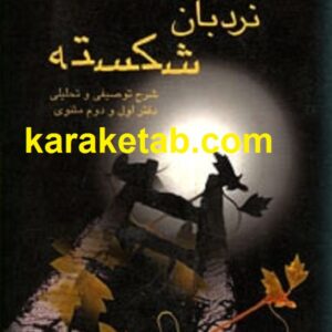نردبان شکسته