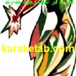 کتاب نقد برهان