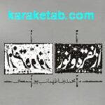 از نقره و نور