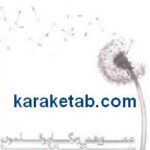 عشق نقش و نگار بوقلمون