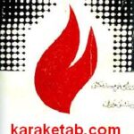 شورای نویسندگان