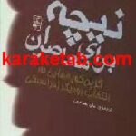 کتاب نیچه برای معاصران