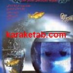 مهارت های کاربردی زندگی