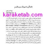 کتاب هایدگر و ناسیونال سوسیالیسم