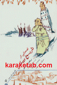 قصه هایی از تاریخ بیهقی