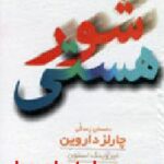شور هستی
