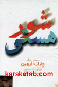 شور هستی