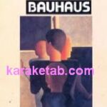 زادگاه هنر مدرن باوهاوس