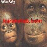 میمونها و آدم نماها