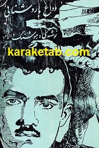 کتاب وداع با روشنائی
