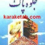 جلوه پاک
