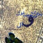 نمایشنامه پروانه در جیب غول