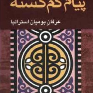 پیام گم گشته