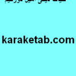 چکیده کتاب صور بنیانی حیات دینی امیل دورکیم